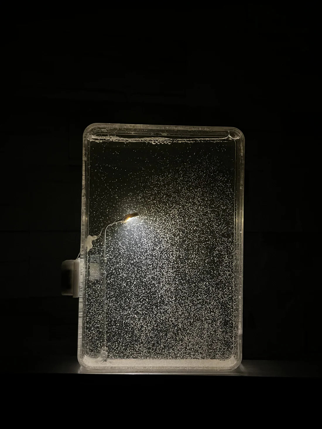 Snowy Night Lamp